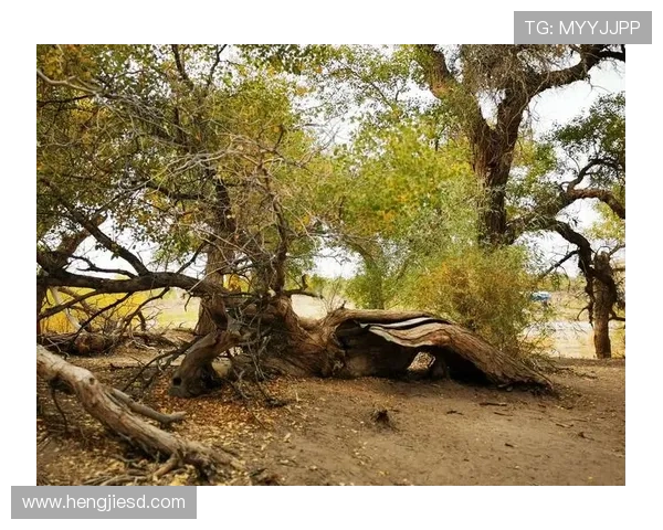 一视同仁塞国囚犯触摸非洲杯 一视同仁塞国囚犯触摸非洲杯